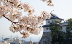 オンライン説明会〜松山大学2023年3月